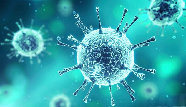 Virus khổng lồ 30.000 năm tuổi. Mới đây các nhà khoa học Pháp cho biết vừa phát hiện một loài virus “khổng lồ” đã hồi sinh sau gần 30.000 năm bị chôn vùi dưới lớp băng vĩnh cửu ở vùng Siberia, nơi nhiệt độ trung bình năm là -13,4 độ C. Các nhà khoa học đã phát hiện ra virus cổ xưa khi nuôi dưỡng các amip tồn tại trong những mẫu đất đóng băng vĩnh cửu. Kích thước của loại virus này khoảng 1,5 micromét; chứa đựng tới 500 gene.